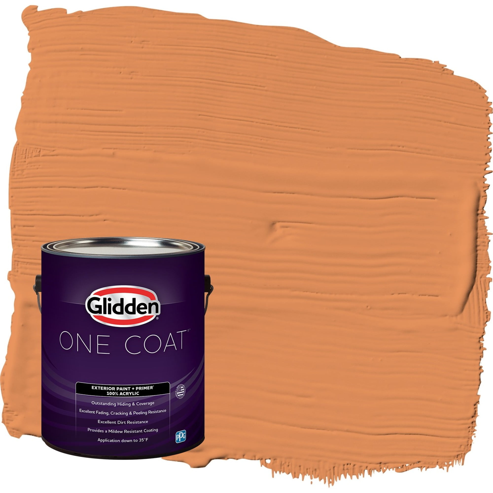 Glidden-One-Coat-Carrot-Cake-Orange-Eggshell-Interior-Paint-with-Primer-1-Gallon_110792ea-3530-40f5-b009-79ce856c9ea7.073c71b3cdc2cc8c87853d7140252459.jpeg