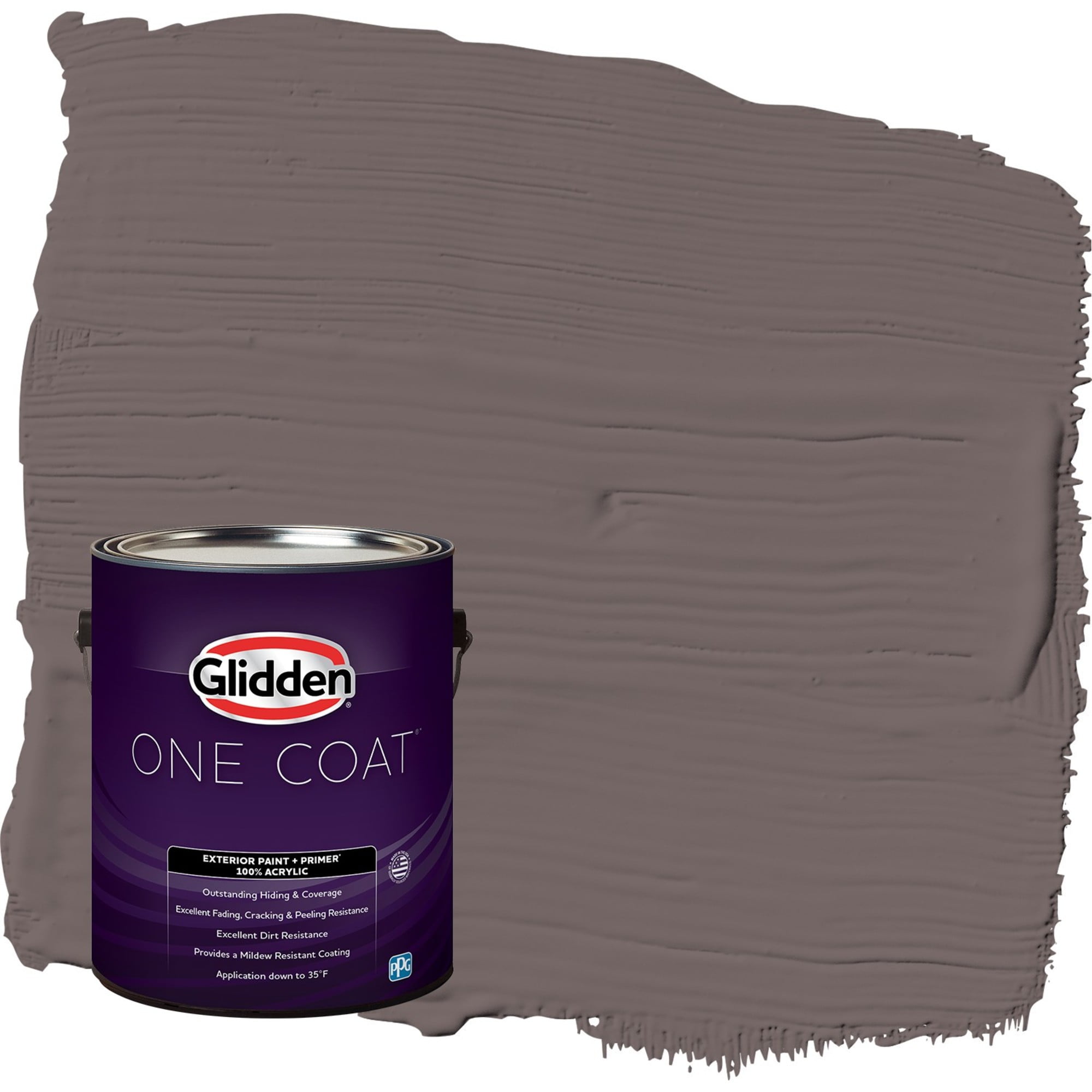 Glidden-One-Coat-Exterior-Paint-and-Primer-Eagle-Eye-Gray-Flat-1-Gallon_3bee9f3f-30ca-4efb-8706-57b3d96e3bd4.655cac31542d0c2eca7cfec102eee241.jpeg