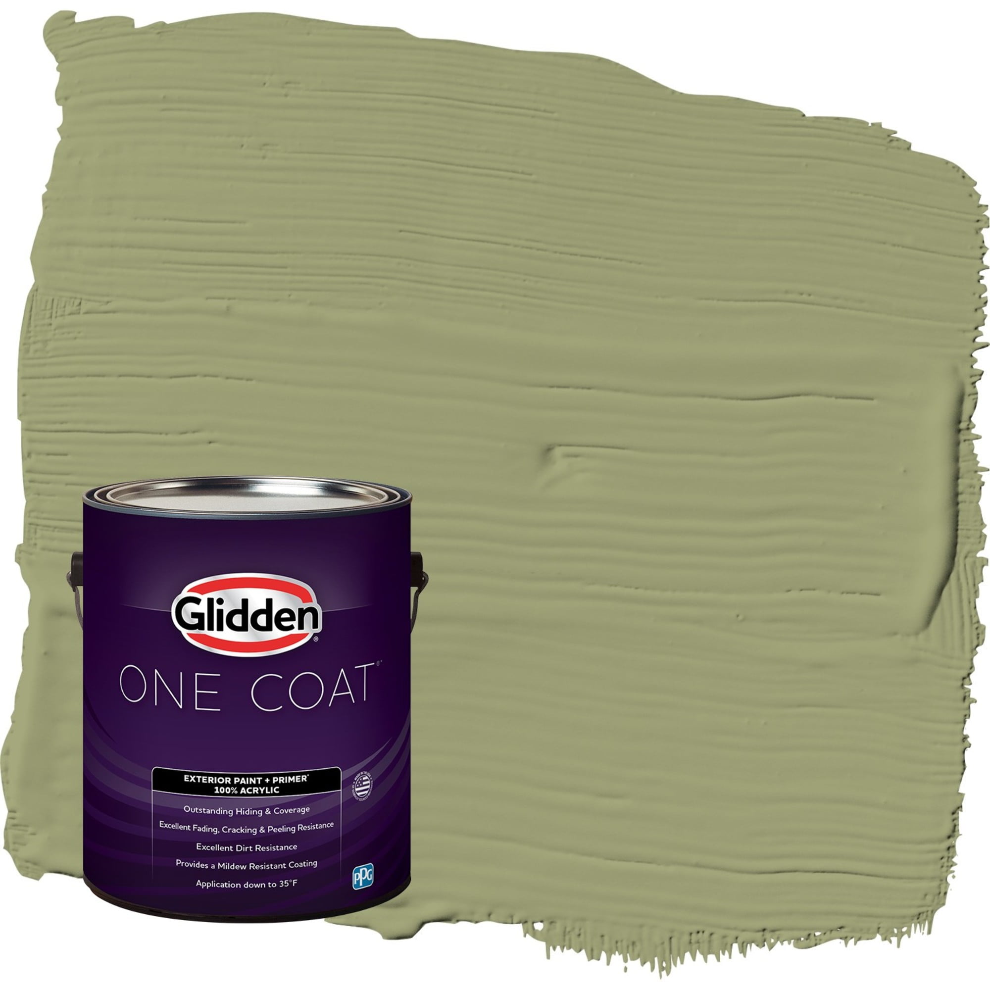 Glidden-One-Coat-Exterior-Paint-and-Primer-Pine-Trail-Green-Gallon-Flat_b68b4800-8071-4bc0-a9c9-703c34cefa84.c0bc0eb88d32b1320415b0993200e37f.jpeg