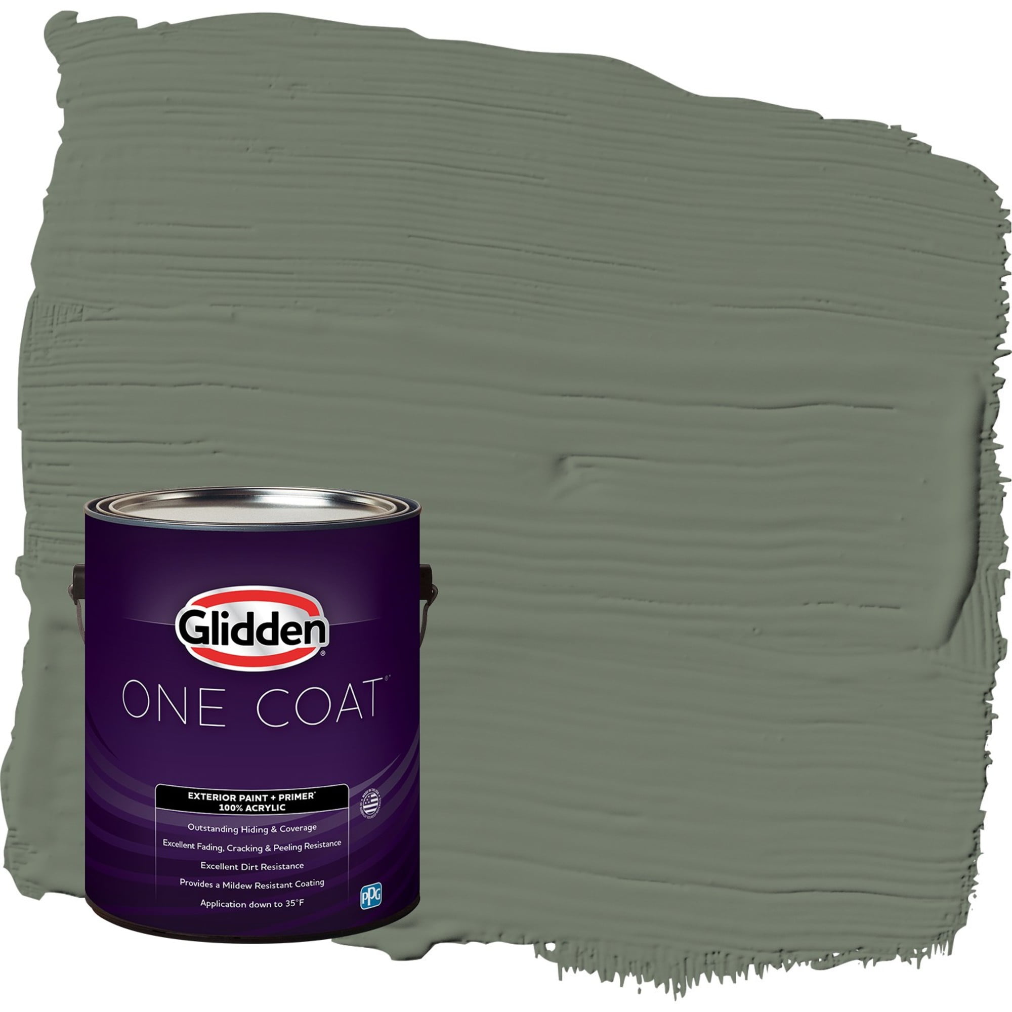 Glidden-One-Coat-Exterior-Paint-and-Primer-Thyme-Green-Green-Gallon-Flat_d091983e-29d9-4cca-8e9e-a51df8d9f4f2.341d810ac3e6c1830c29b3cf23c826c7.jpeg