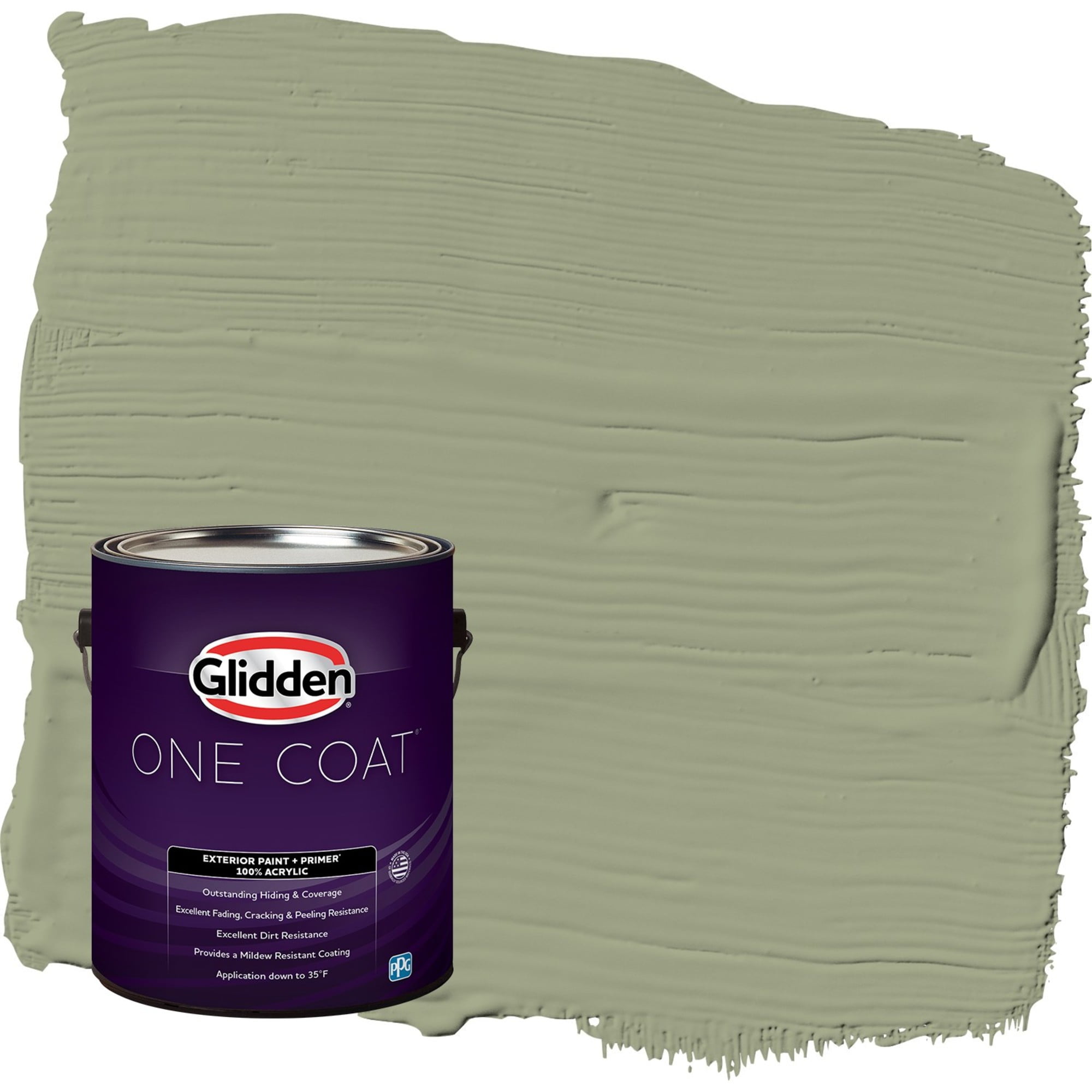 Glidden-One-Coat-Exterior-Paint-and-Primer-Zebra-Grass-Green-Gallons-Flat_09100397-9931-45dd-9637-90469e1aa34f.d29505d5b884b264875d21d7057a28be.jpeg
