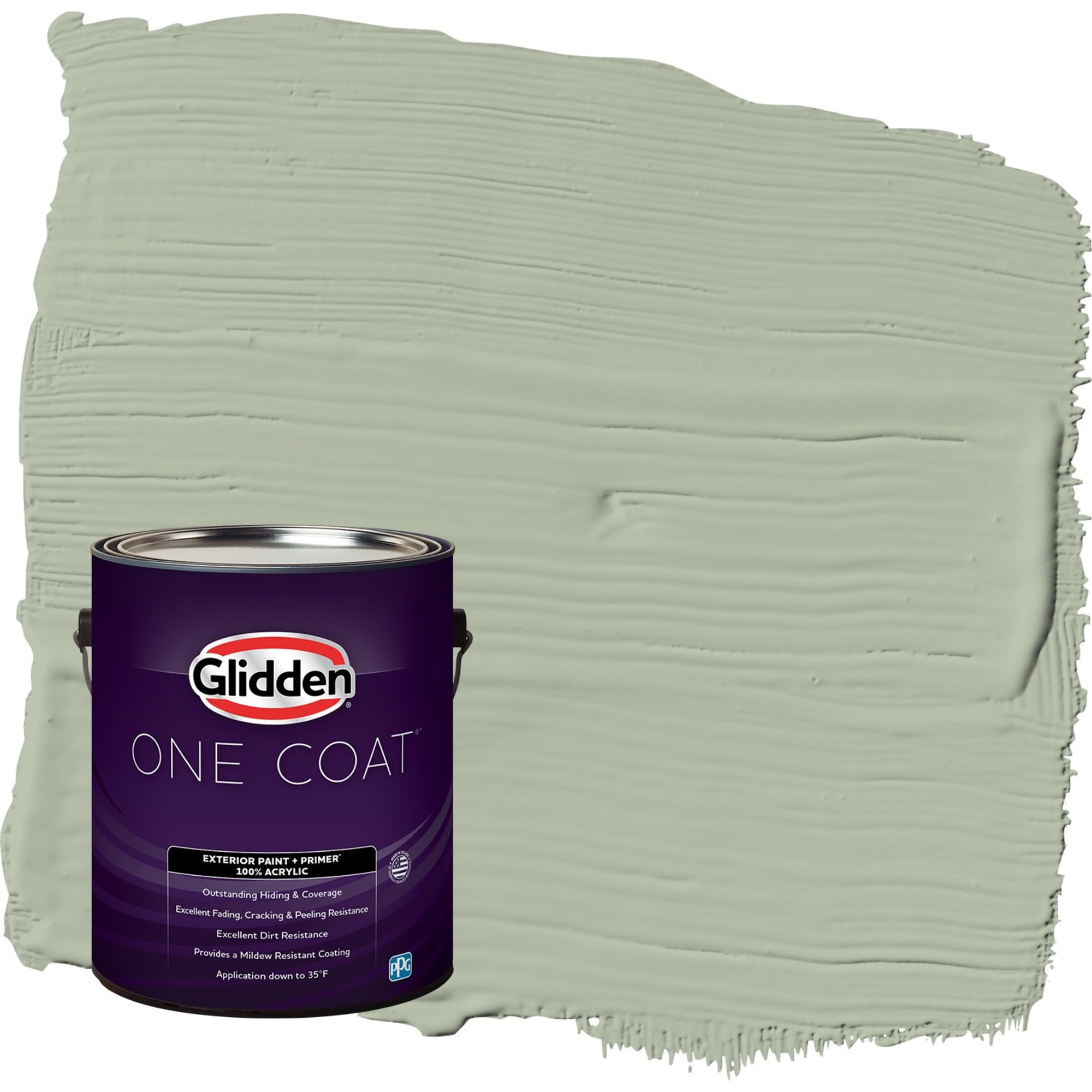 Glidden-One-Coat-Light-Sage-Green-Satin-Exterior-Paint-with-Primer-1-Gallon_4ff60c0a-5882-4e36-9aeb-9ab3669a44f5.b1f0c82f8a49ff378438d8f1aa6c269a.jpeg