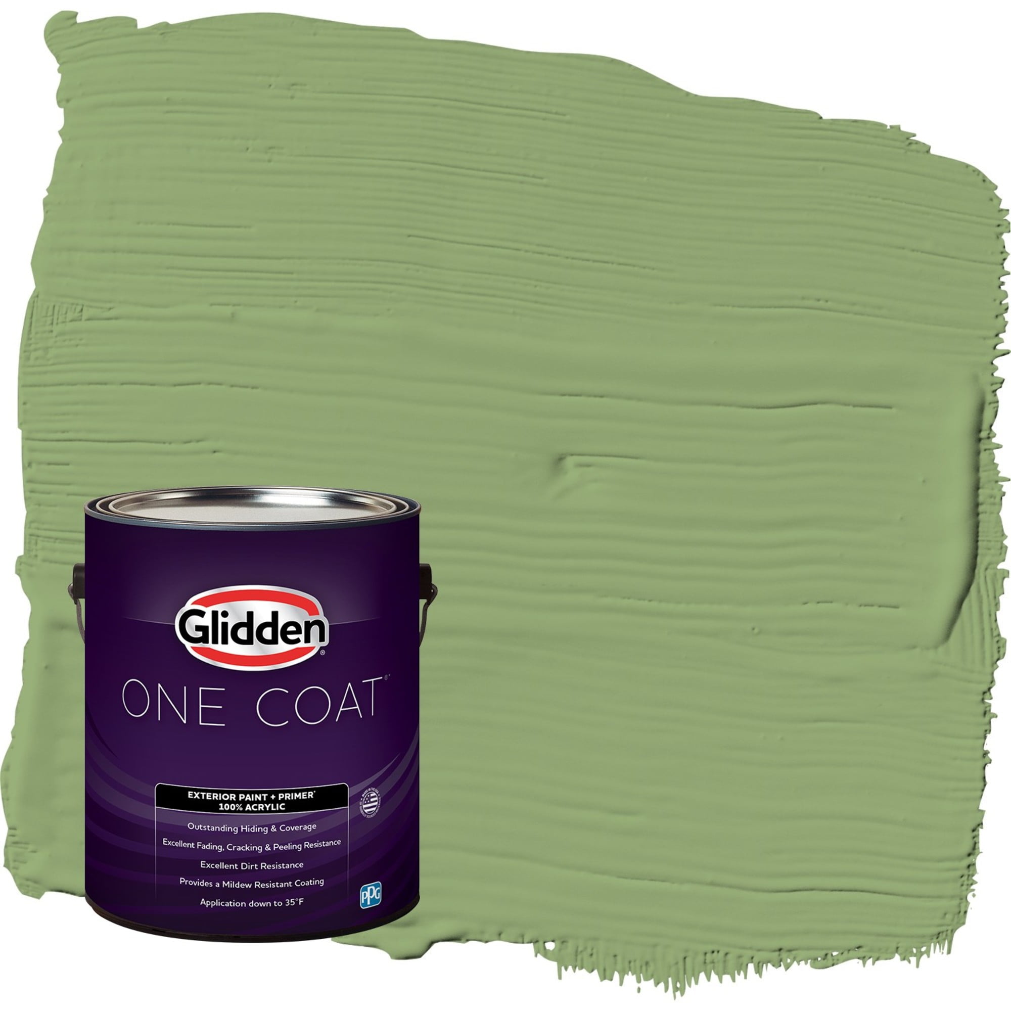 Glidden-One-Coat-Luscious-Lime-Green-Satin-Exterior-Paint-with-Primer-1-Gallon_e85af7ca-1c6c-4919-bfc2-21637ff250c4.5ca89d58fda2113e8720f486b3ce1f38.jpeg