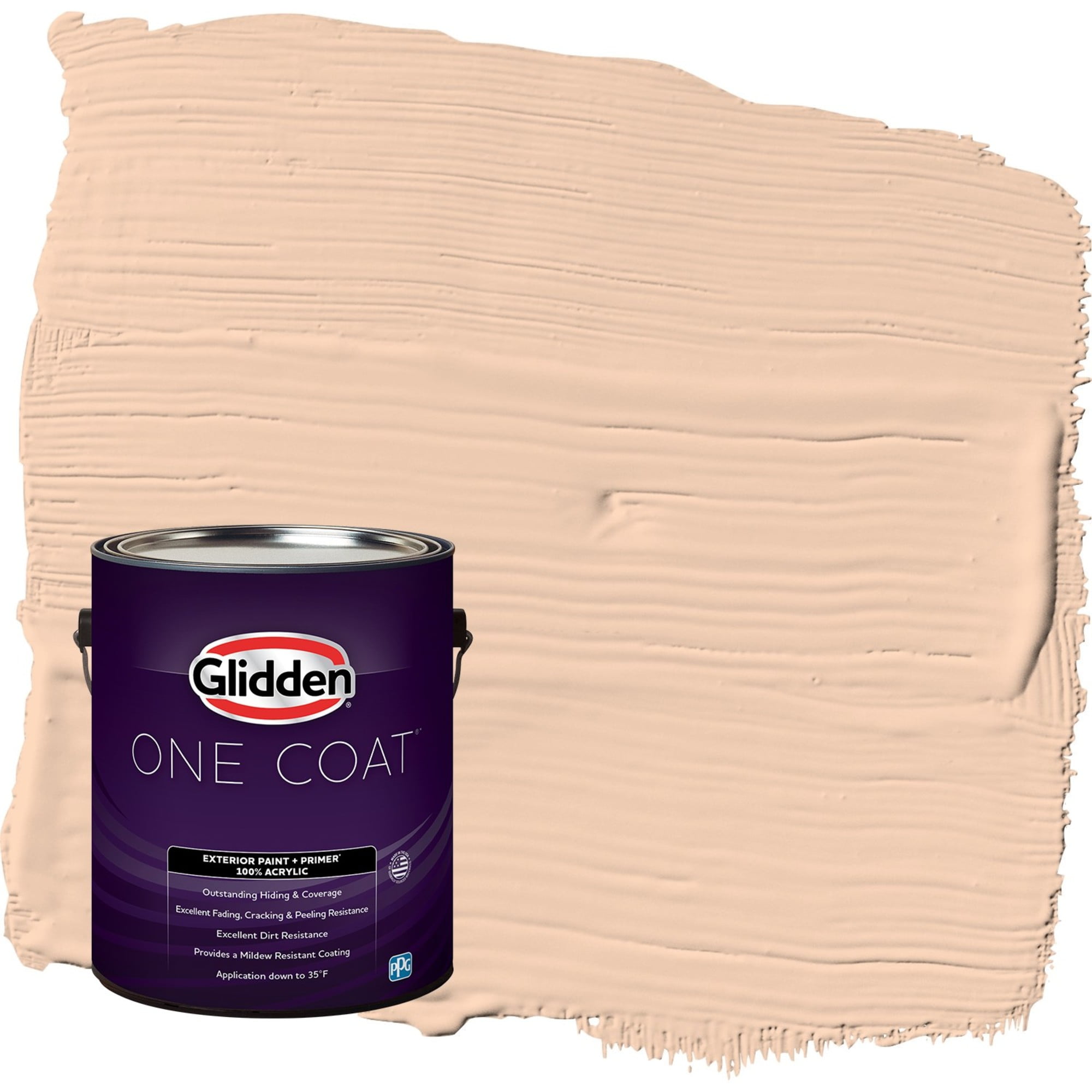 Glidden-One-Coat-Peach-Darling-Orange-Satin-Exterior-Paint-with-Primer-1-Gallon_053250f4-e131-407f-9e41-93c30bd9eaad.d92875a2eee9d4d43275bdffc18ffaf0.jpeg